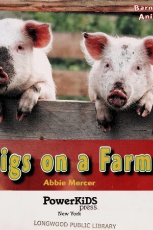 Pigs on a Farm