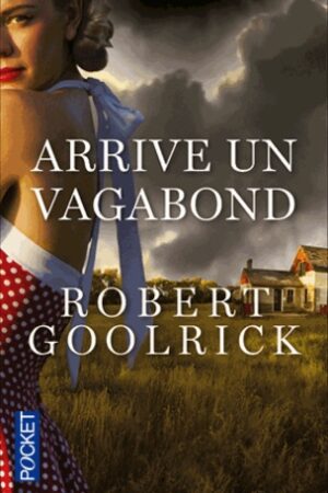 Arrive un vagabond