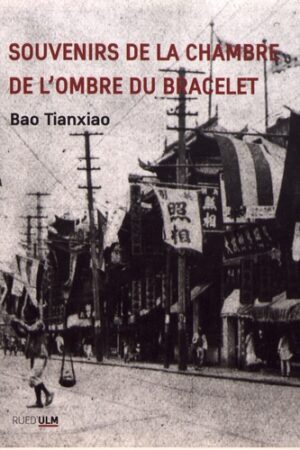 Souvenirs de la chambre de l'ombre du bracelet