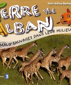 Les animaux sauvages dans leur milieu