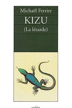 Kizu