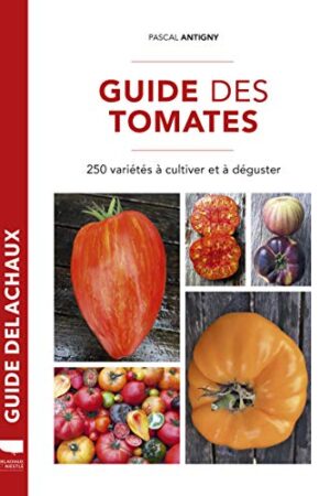 Guide des tomates