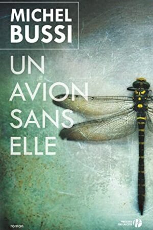 Un avion sans elle